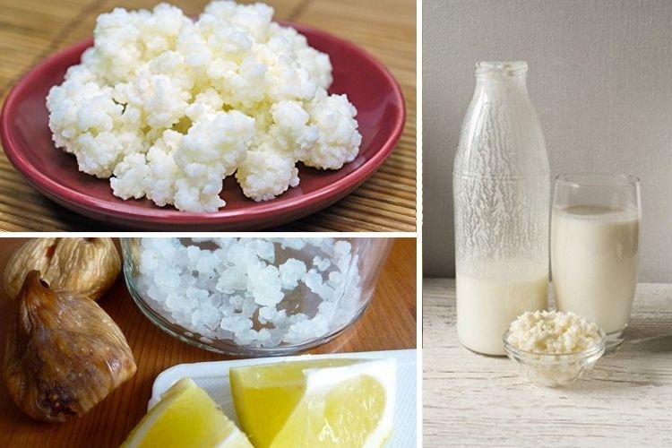 Les bienfaits du Kéfir, la super-boisson