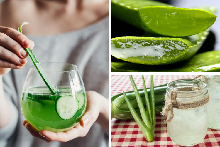 Les bienfaits de l'Aloe Vera sur la santé et la beauté