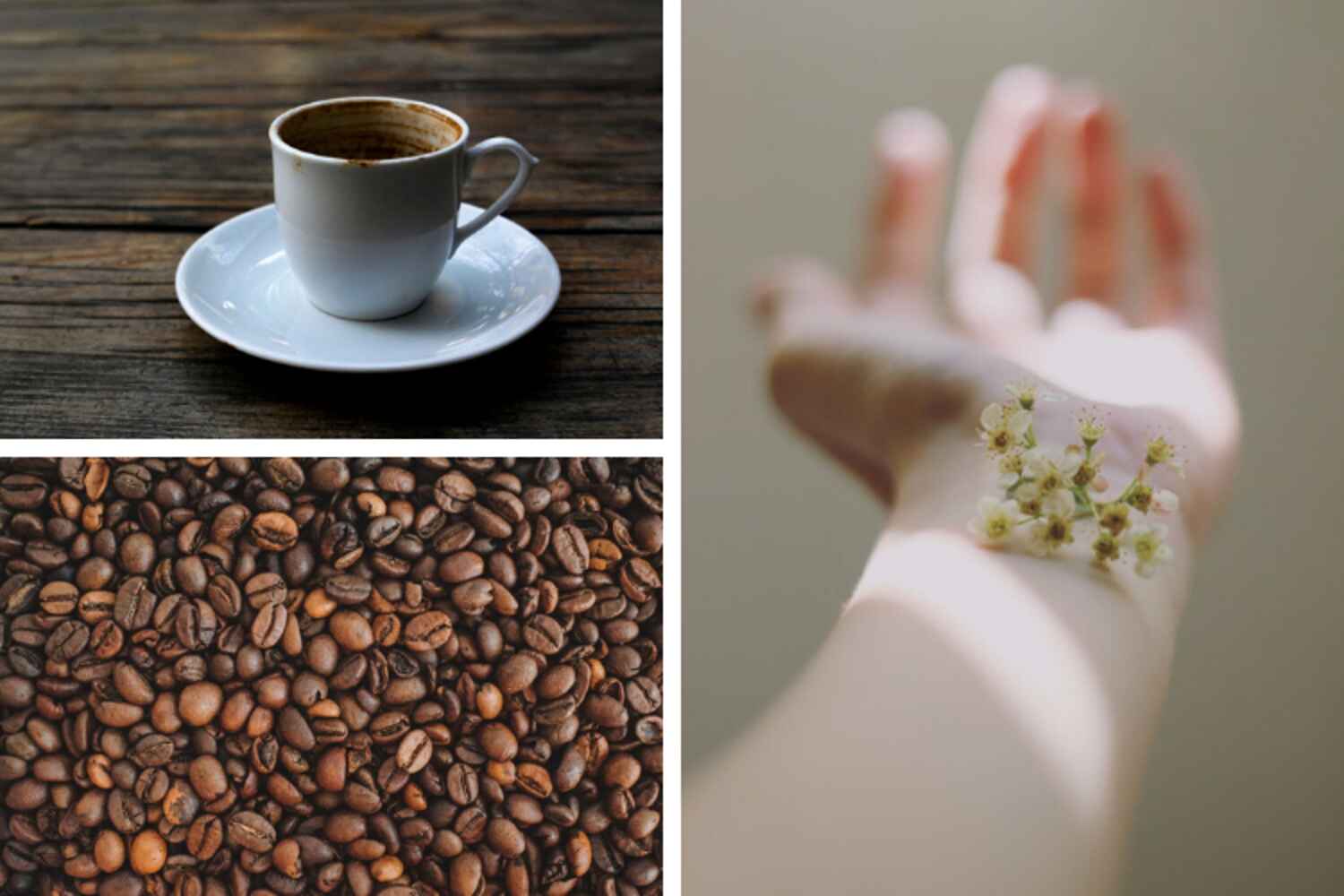 Les bienfaits du marc de café