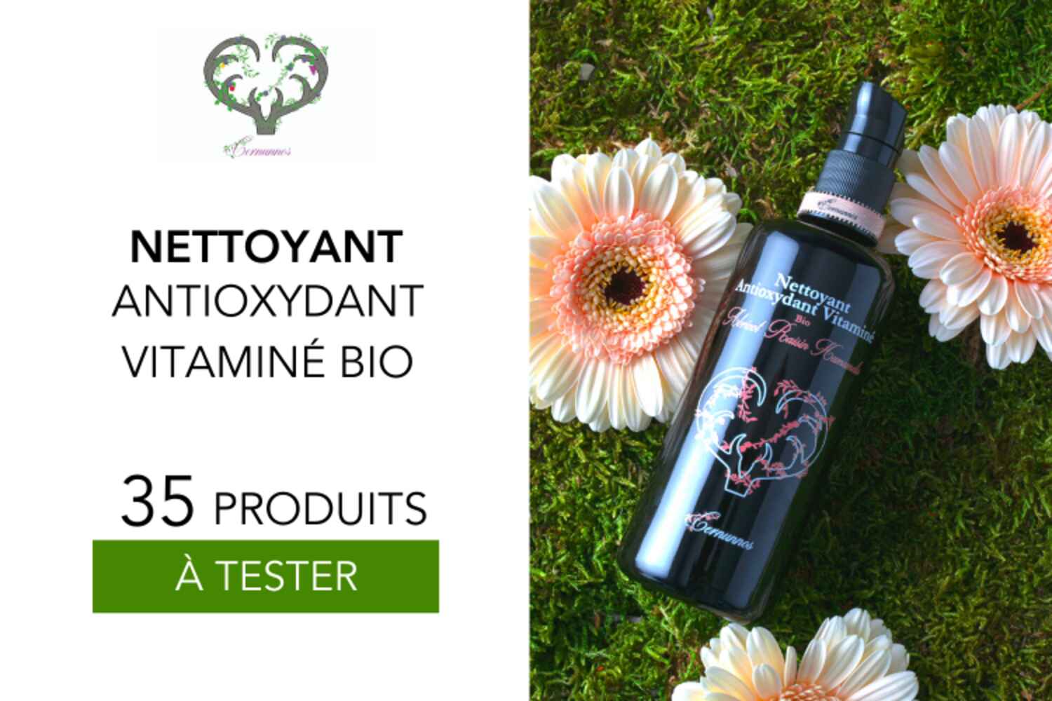 NETTOYANT ANTIOXYDANT VITAMINÉ BIO