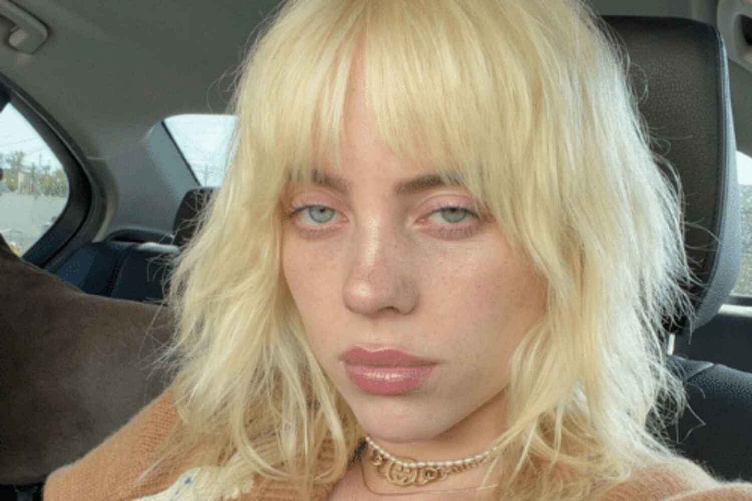 La wolf cut : la coupe tendance de cet automne !