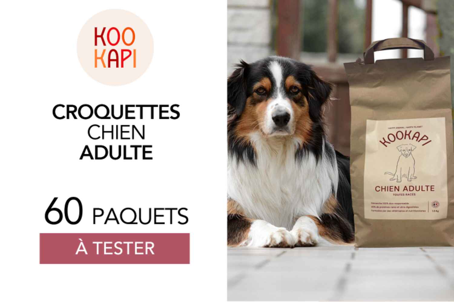 Croquettes Chien Adultes, toutes races : 60 à tester !