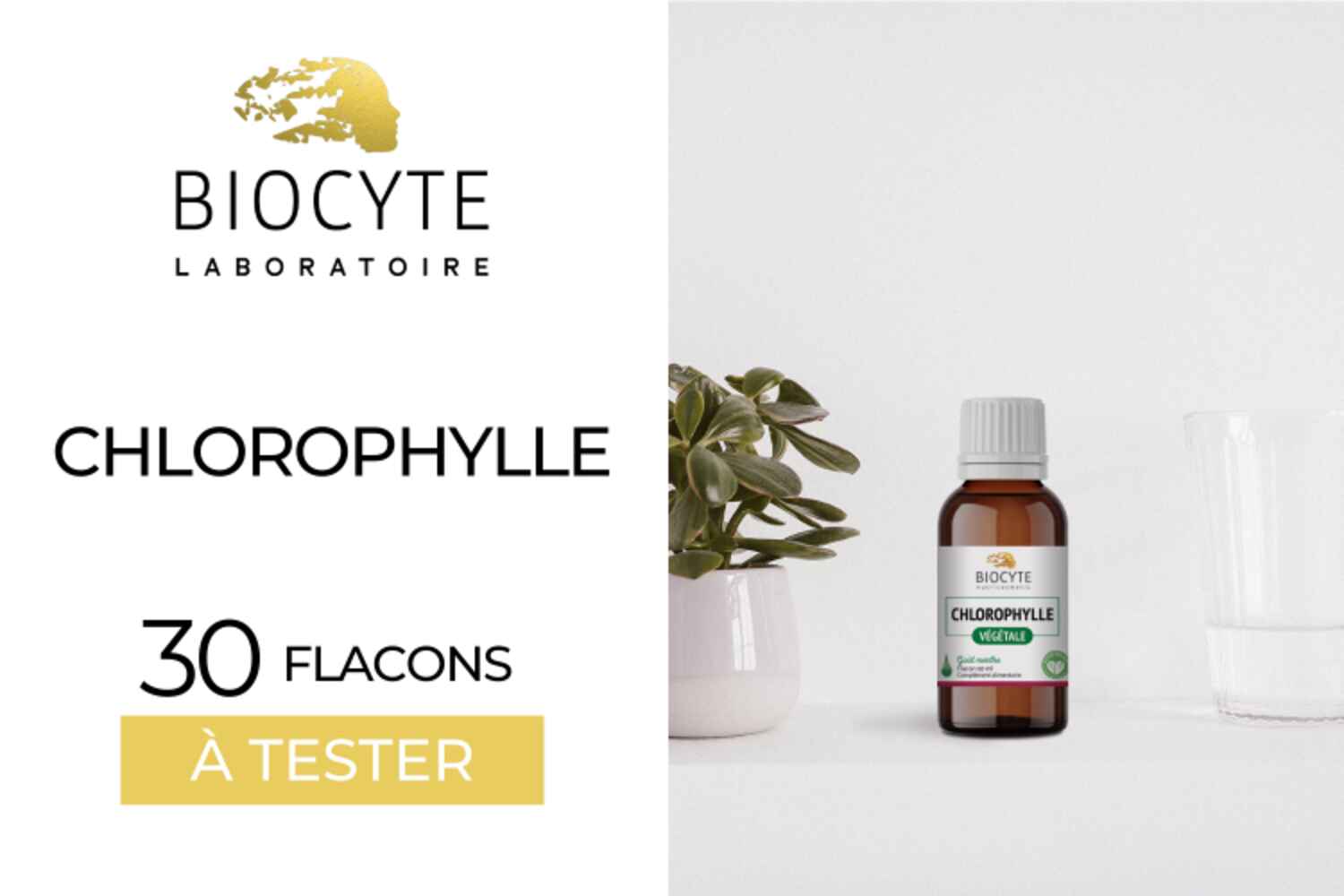 COMPLÉMENTS CHLOROPHYLLE BIOCYTE :  30 FLACONS À TESTER !