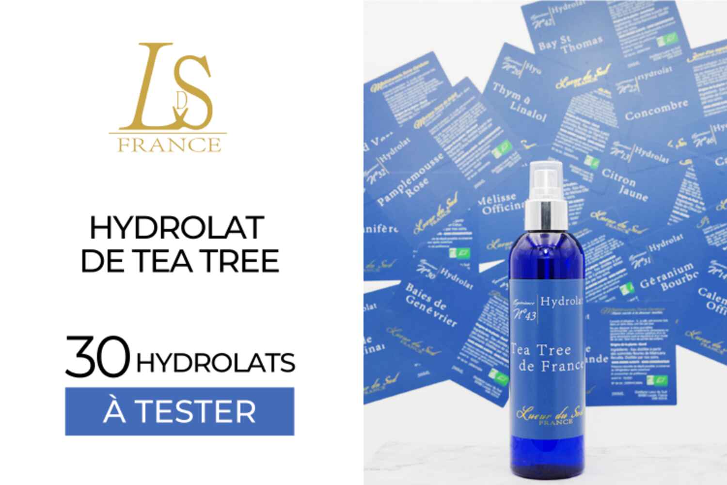 HYDROLAT DE TEA TREE LUEUR DU SUD : 30 SOINS À TESTER !