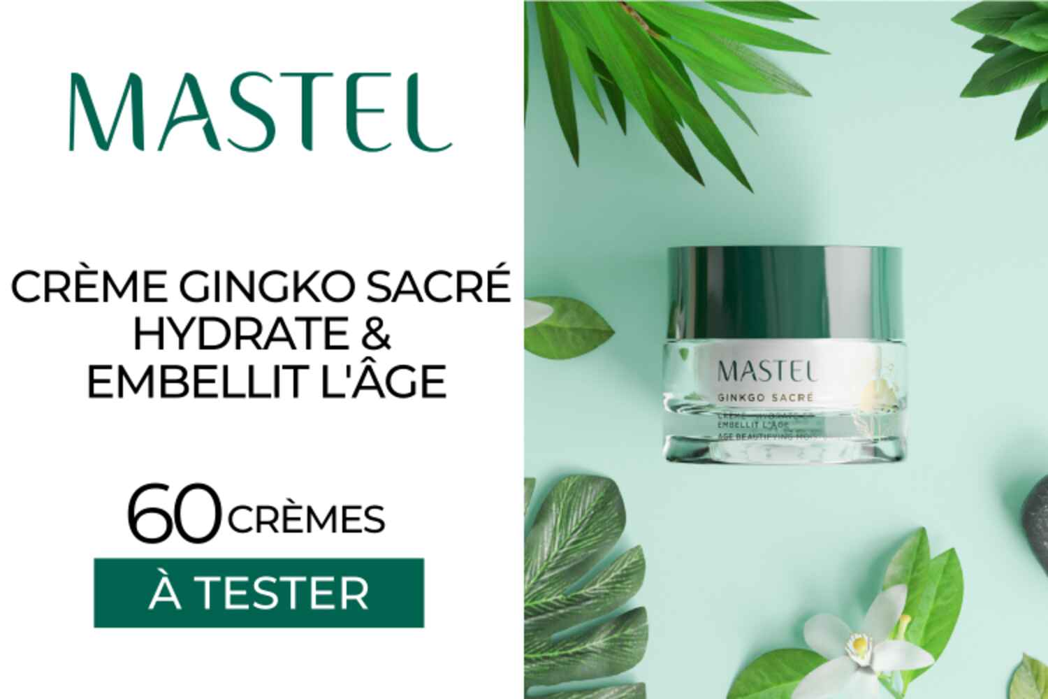 60 Crème GINKGO SACRÉ de Mastel à tester !