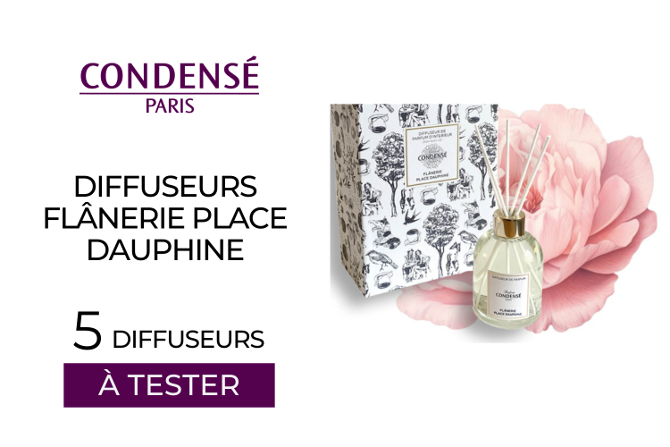 Diffuseurs Flânerie Place Dauphine : 5 Diffuseurs à tester !