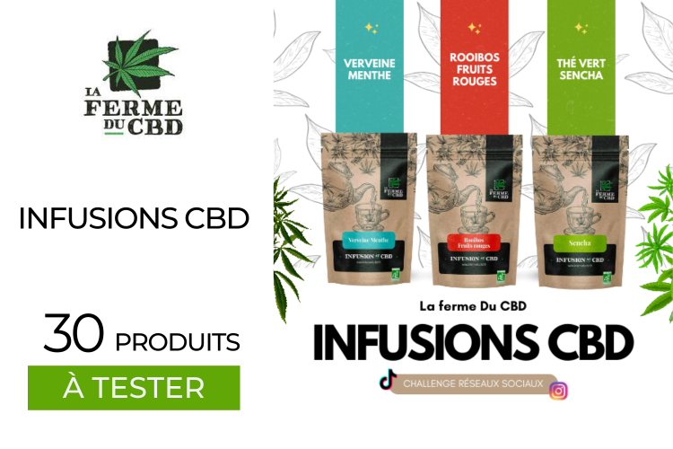 30 Infusions et tisanes au CBD: CHALLENGE RÉSEAUX SOCIAUX à tester !