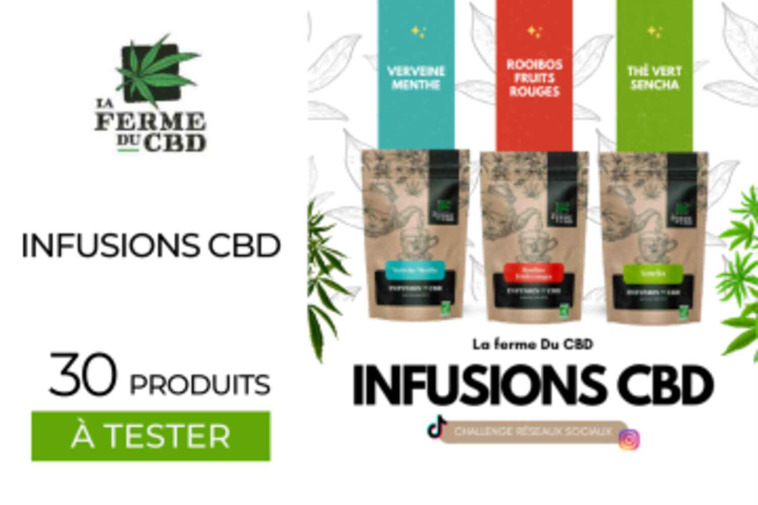 30 Infusions et tisanes au CBD: CHALLENGE RÉSEAUX SOCIAUX à tester !