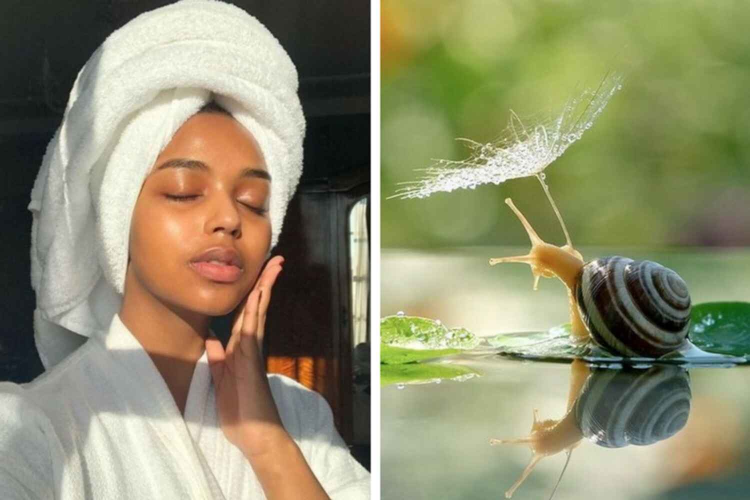 La bave d'escargot, votre nouvel allié beauté de la peau
