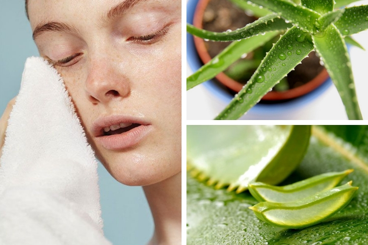 5 soins maison à l'aloe vera