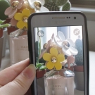 Swatch de monjulimonde : Daisy Eau So Fresh, Marc Jacobs Parfums