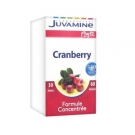 Juvamine Phyto Cranberry 60 Gélules, Laboratoires Juvamine - Infos et avis