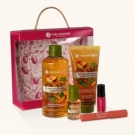 Kit Pétillant Mangue Coriandre