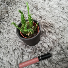 Swatch de Makeup.beauty.test : Cream lip stain Mat - Rouge à lèvres mat, Sephora