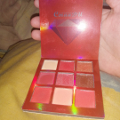 Swatch de FilleBizarre.exe : Palette 9 fards, Amazon