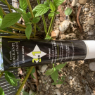 Swatch de LauryyC : Formule Ensorcelante Anti-Peau de Croco - Crème Corps 3 en 1, Garancia