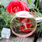Swatch de Girls n Nantes Eva : Chance Eau Vive - Eau De Toilette, Chanel
