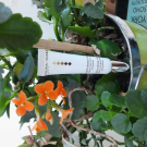 Swatch de Lalypoune : Contour des Yeux, Nuhanciam