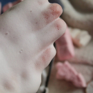 Swatch de Une fille pas Parisienne : La Chantilly, Collosol