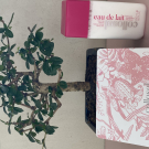 Swatch de luciejune69 : Eau de Lait, Collosol