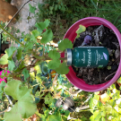 Swatch de LILABLANC : Sommeil, BioEnergies