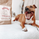 Swatch de Chloebsl : KOOKAPI Chien Adulte, KOOKAPI