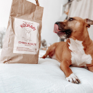 Swatch de Chloebsl : KOOKAPI Chien Adulte, KOOKAPI
