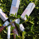 Swatch de yvyv : Contour des Yeux Eclat de Rose, Centifolia