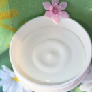 Swatch de kayloutte : LE BAUME  CICALISSE, Embryolisse