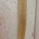 Swatch de Marhy : Peigne Corne de Vache, Monoprix
