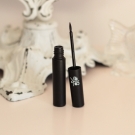 Swatch de Laetitianobody : Liner Christophe Danchaud, Absolution
