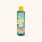 Shampooing douche des lagons, Yves Rocher - Infos et avis