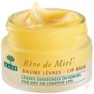 Baume Lèvres Ultra Nourrissant Rêve de Miel, Nuxe - Infos et avis