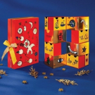 Calendrier des Constellations - Calendrier de l'Avent Premium