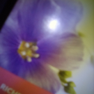 Swatch de anita30 : Huile de lin, Arkopharma