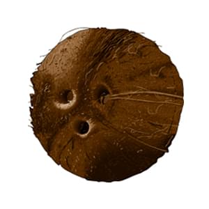 bienfaits de l'huile de coco