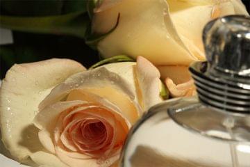 les différentes concentrations de parfum : l'eau de toilette