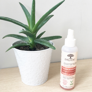 spray thermo protecteur druide