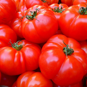 tomate