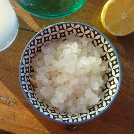 Grains de Kéfir