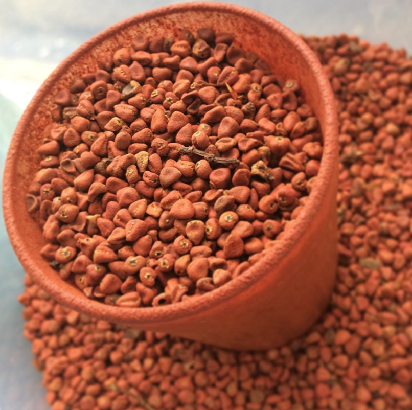 L'urucum pour protéger sa peau du soleil 