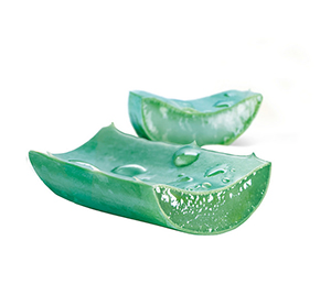 utiliser le gel d'aloe vera en beauté
