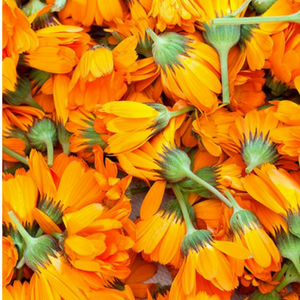 huile végétale calendula