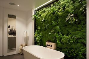 Salle de bain zen 