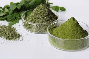 moringa-superaliment