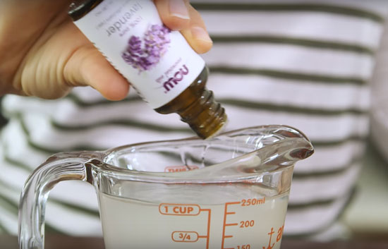 Huile essentielle de lavande anti-bactérienne et purifiante